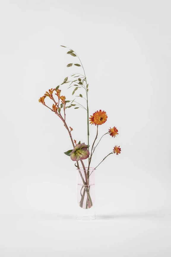 Flower Tube Rose Low