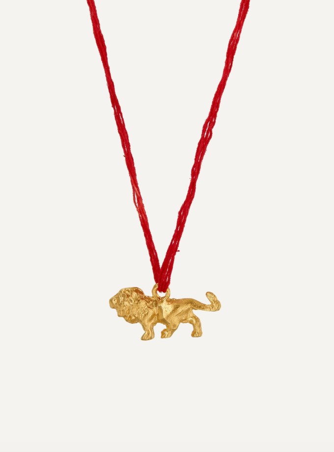 The Tale Of The Lion